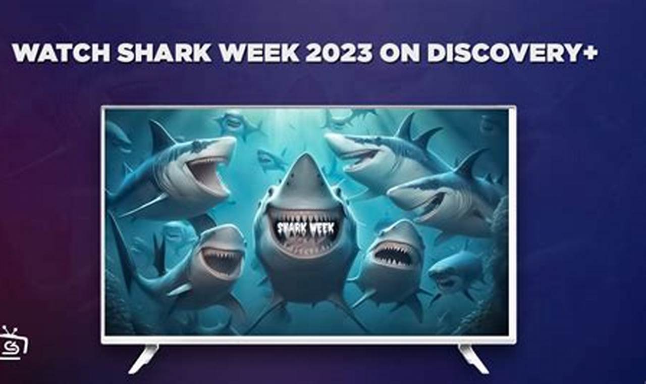 Shark Week 2024 Discovery Plus