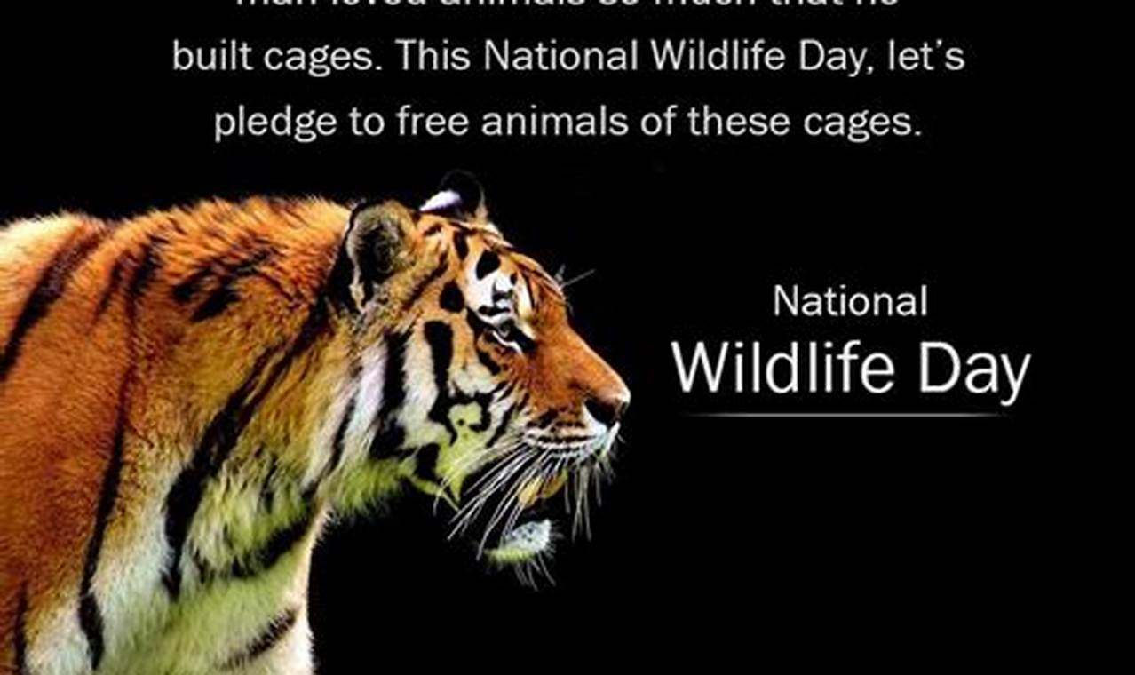 Slogan For National Wildlife Day 2024