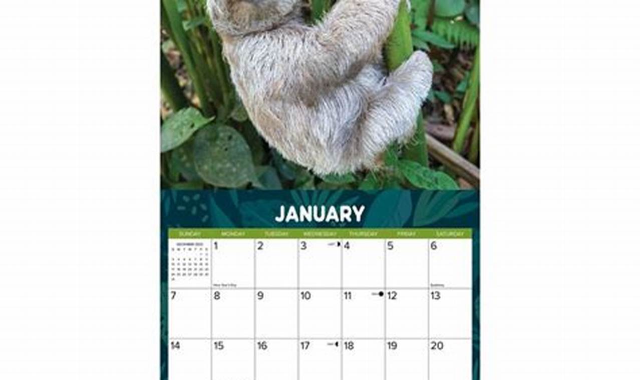 Sloth Calendar 2024
