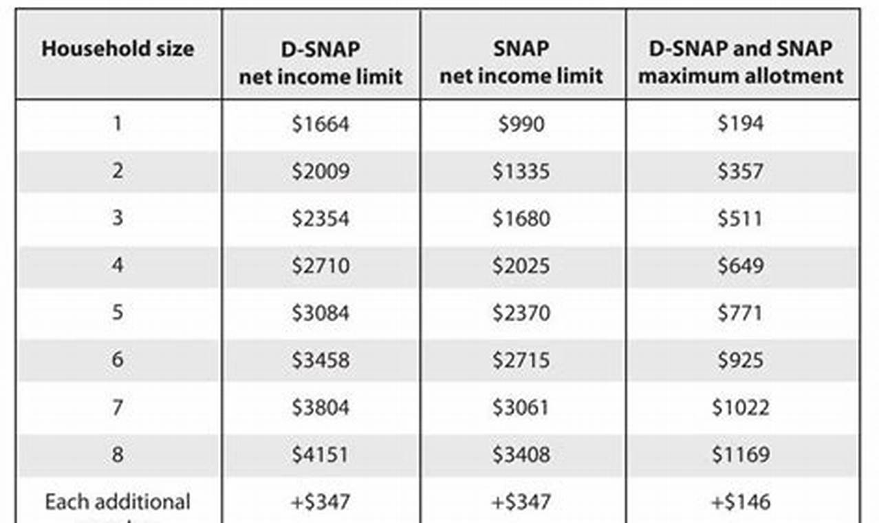 Snap Income Guidelines 2024