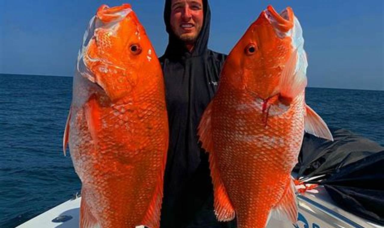 Snapper Season Texas 2024