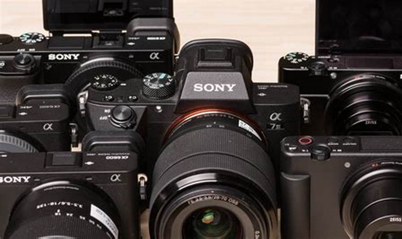 Sony Cameras 2024