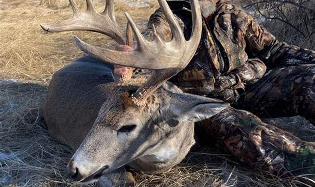 South Dakota Hunting Seasons 2024