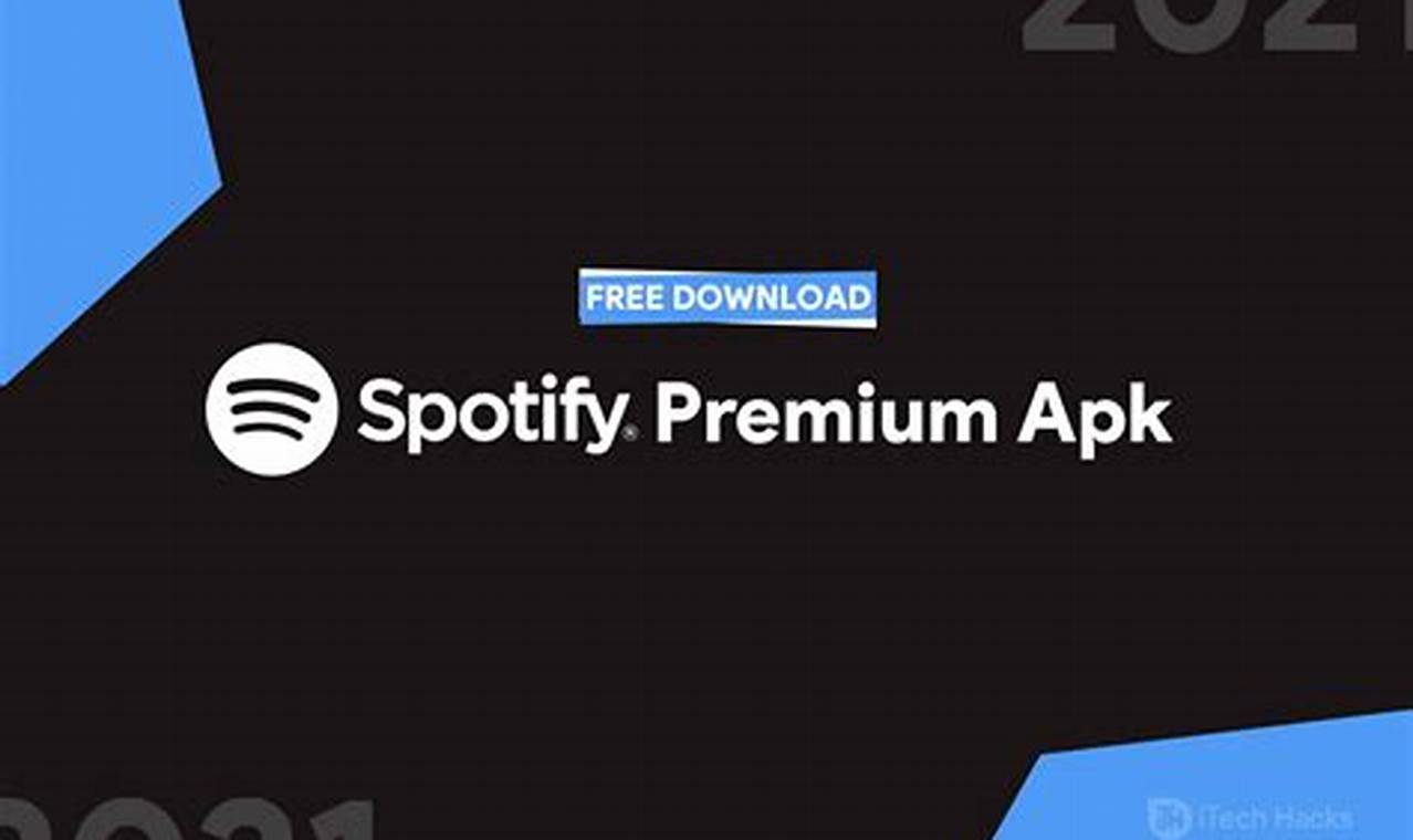 Spotify Premium Black Friday 2024