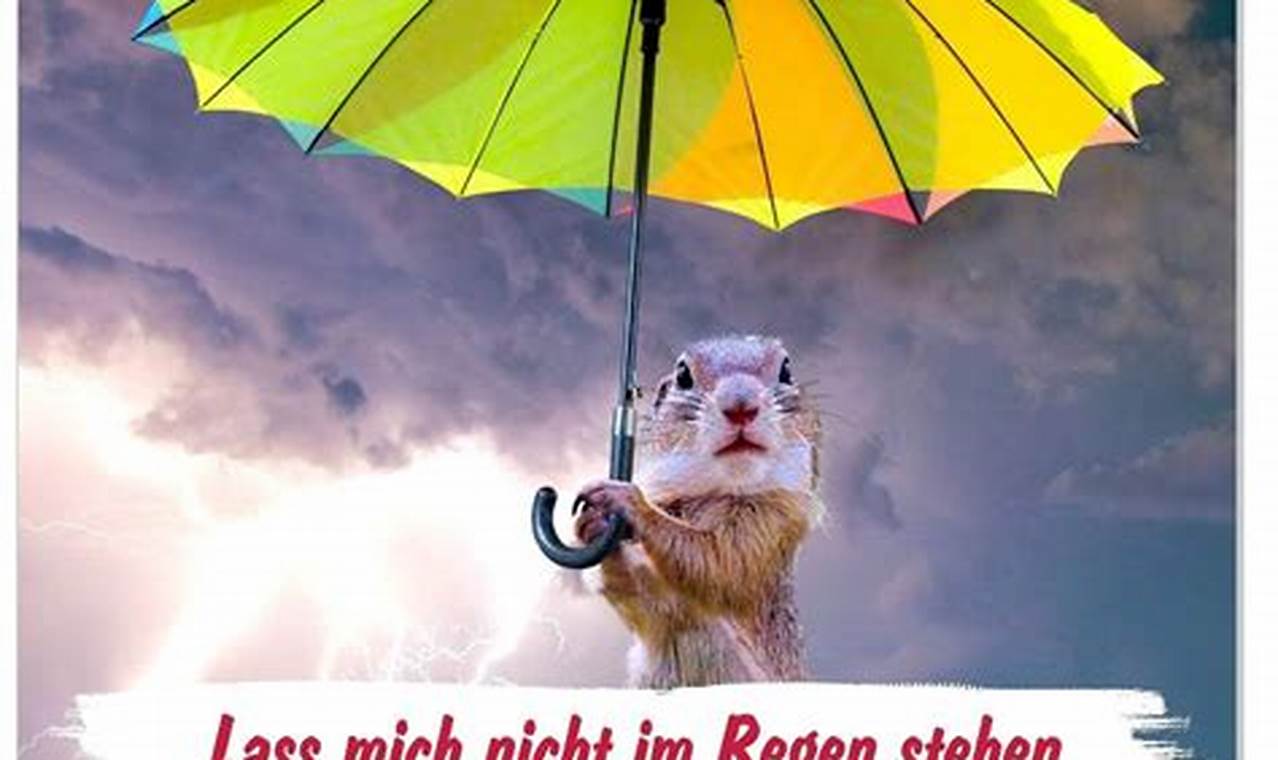 Sprüche Regen Lustig