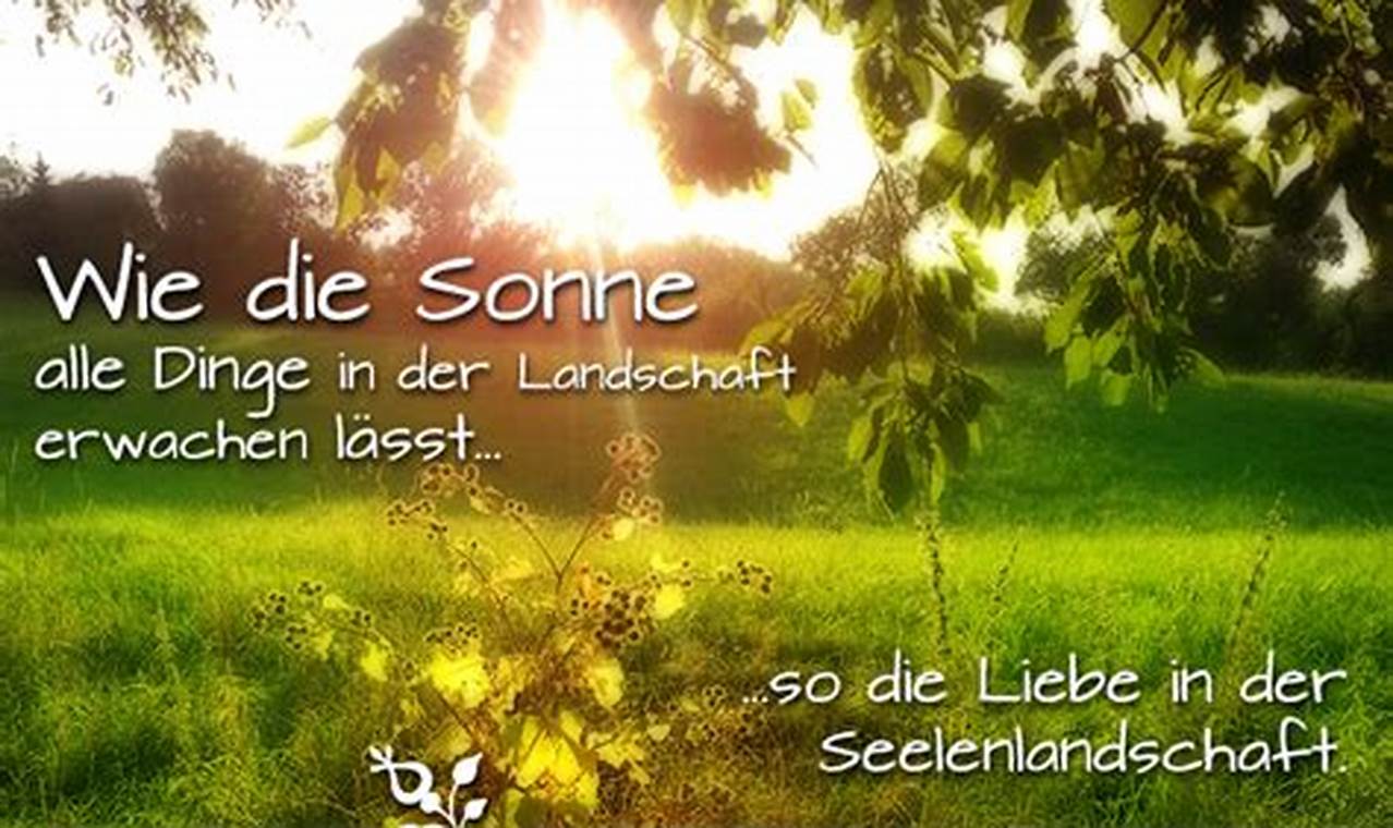 Lustige Sprüche Sonne Genießen: So lachst du dich glücklich!