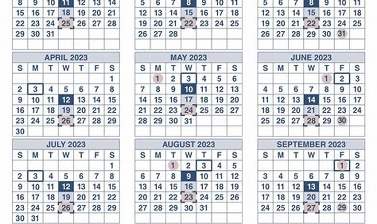 Ss Disability Payment Schedule 2024 Release