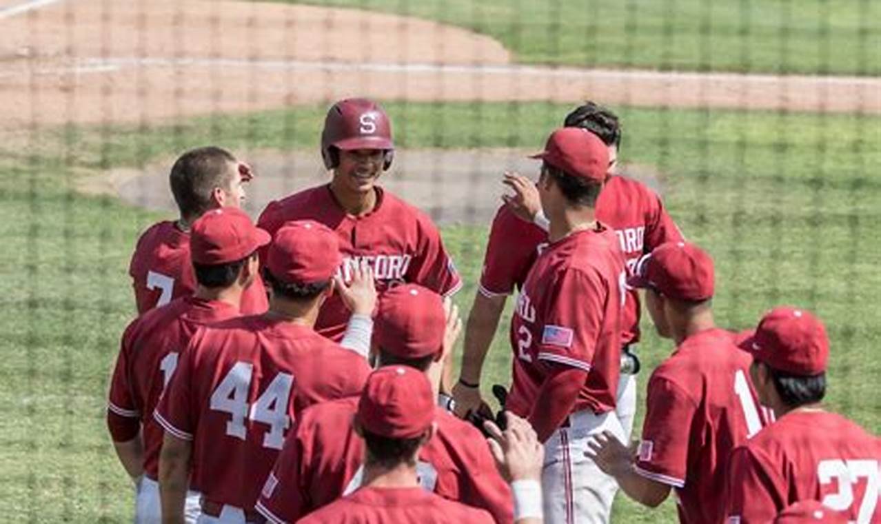 Stanford Baseball Roster 2024