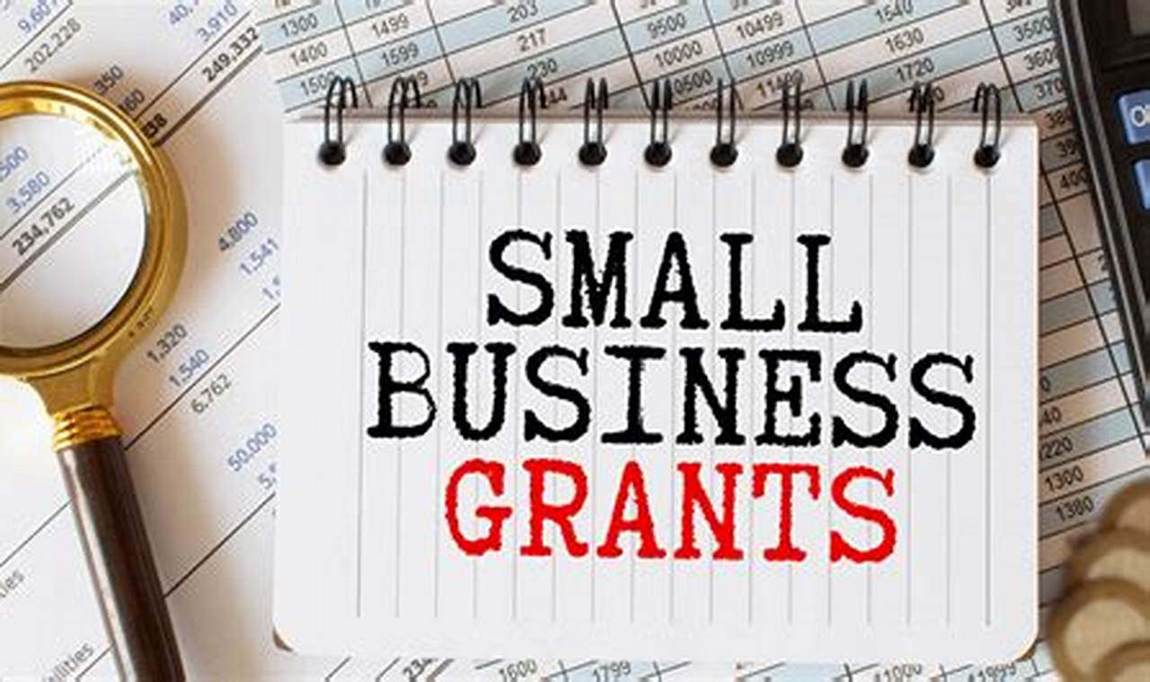 Start Up Grants For Small Business 2024