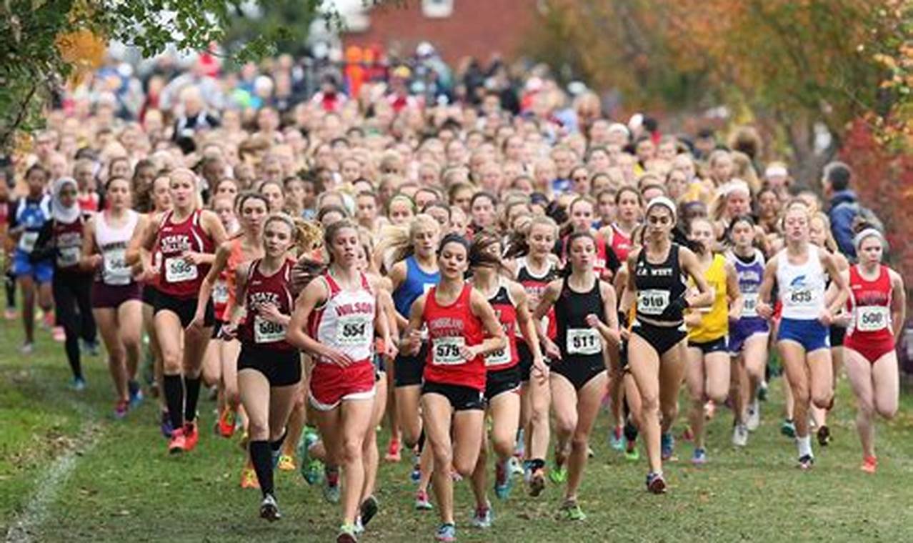 State Cross Country Results 2024