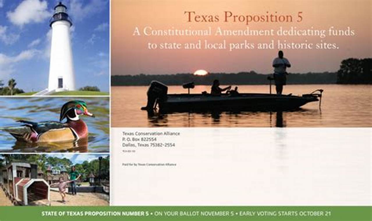 State Of Texas Proposition 5 2024