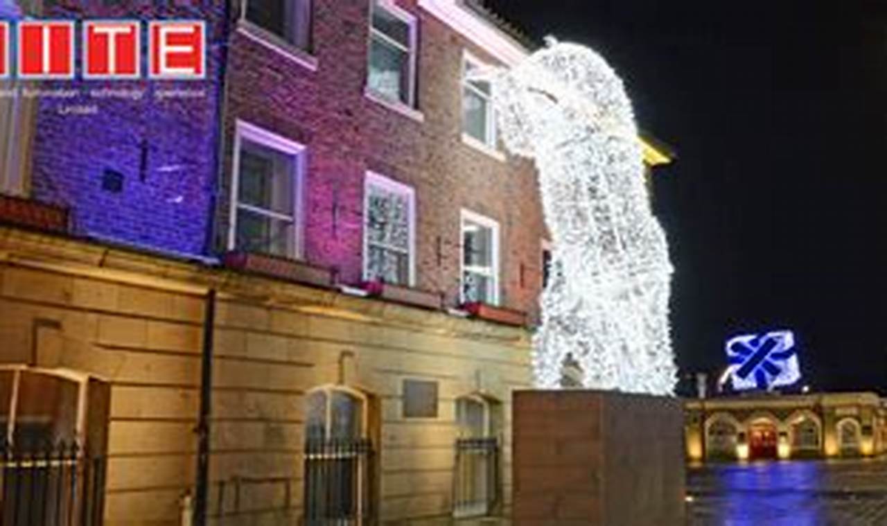 Stockton Christmas Lights 2024
