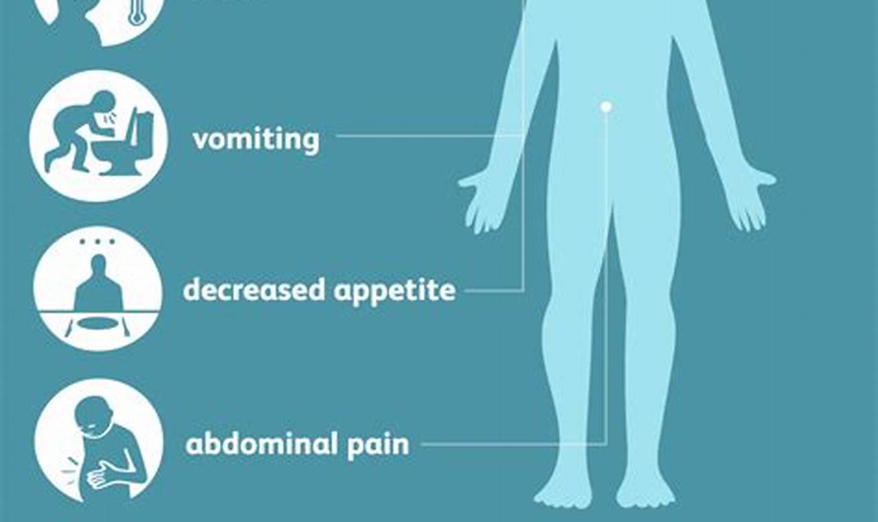 Stomach Bug 2024 Symptoms