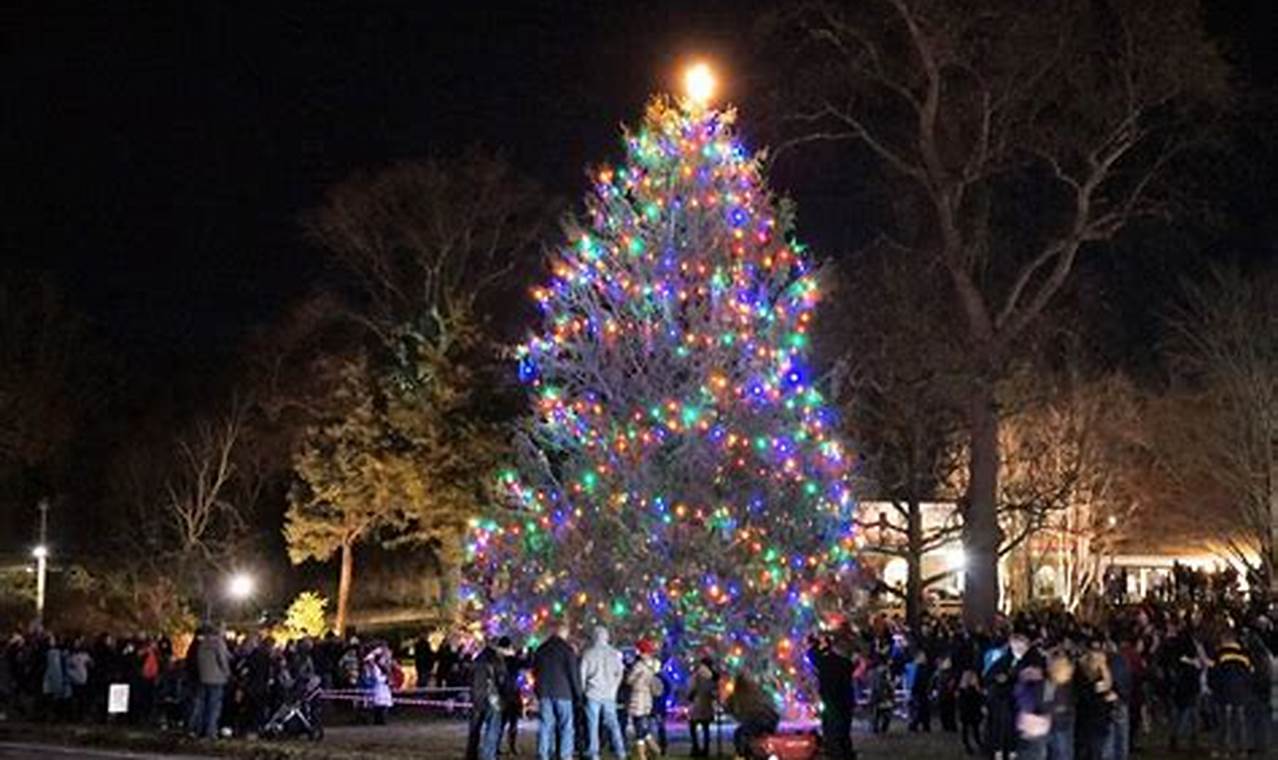 Stony Brook Village Tree Lighting 2024