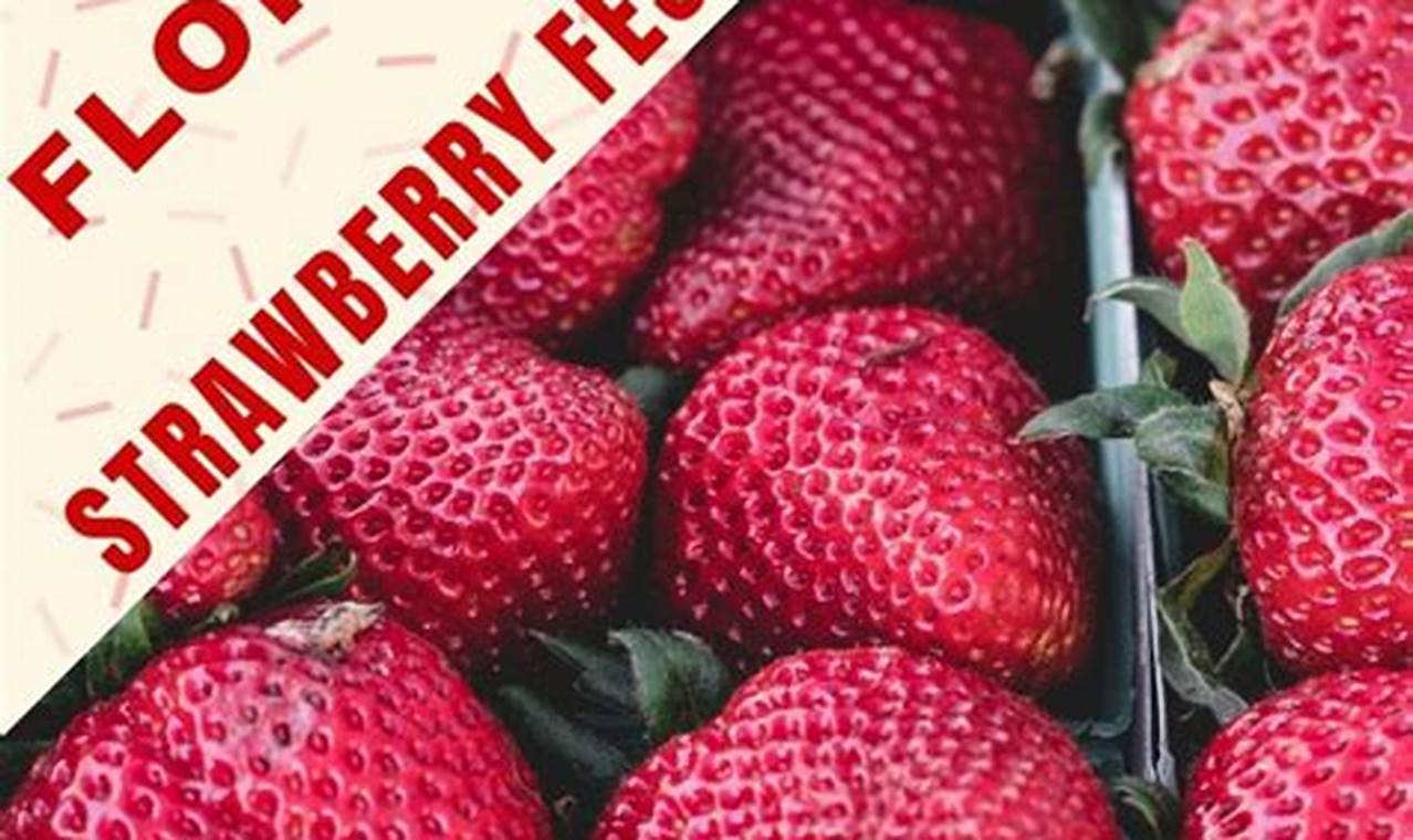 Strawberry Festival 2024 Near Melbourne