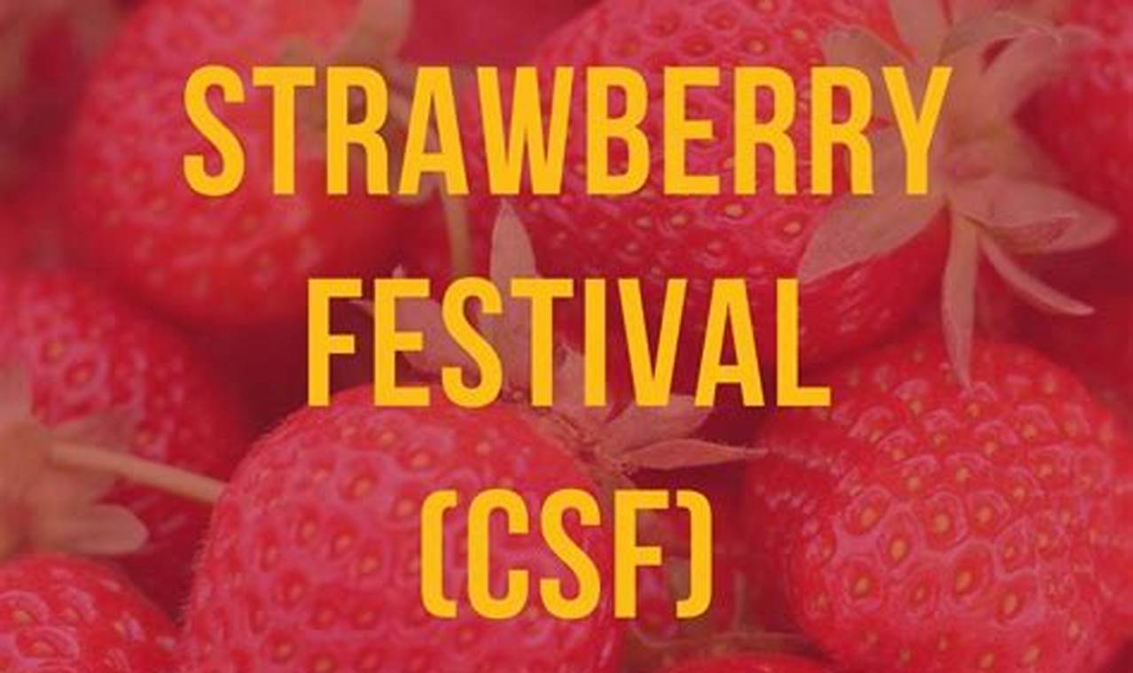 Strawberry Music Festival 2024 California