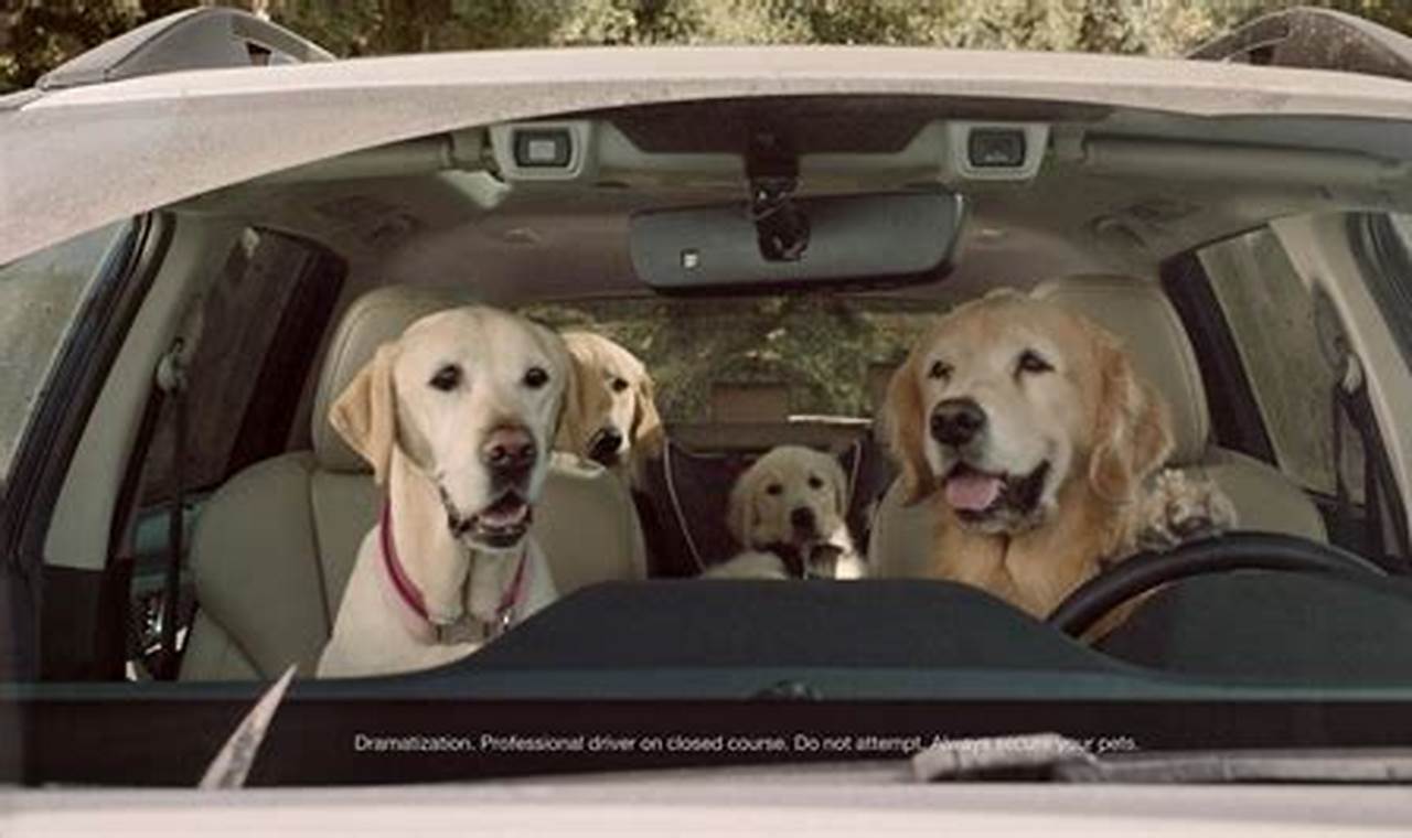 Subaru Dog Commercial 2024
