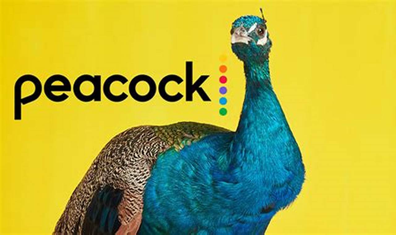 Super Bowl 2024 Streaming Peacock