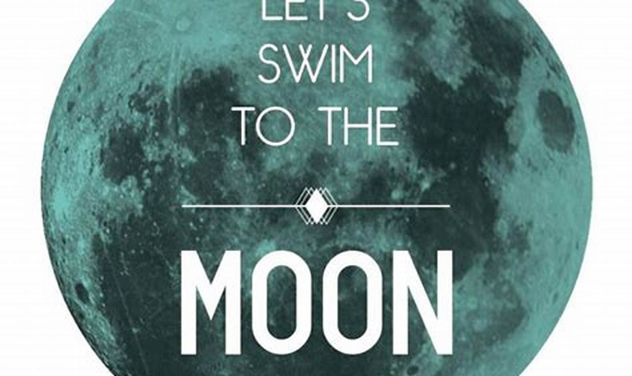 Swim To The Moon Michigan 2024