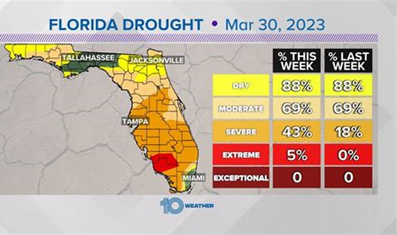 Tampa Drought 2024