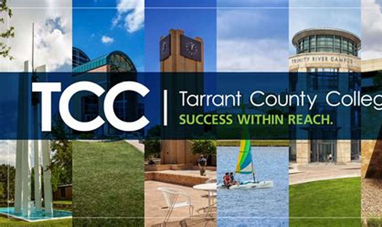 Tcc Course Catalog Fall 2024