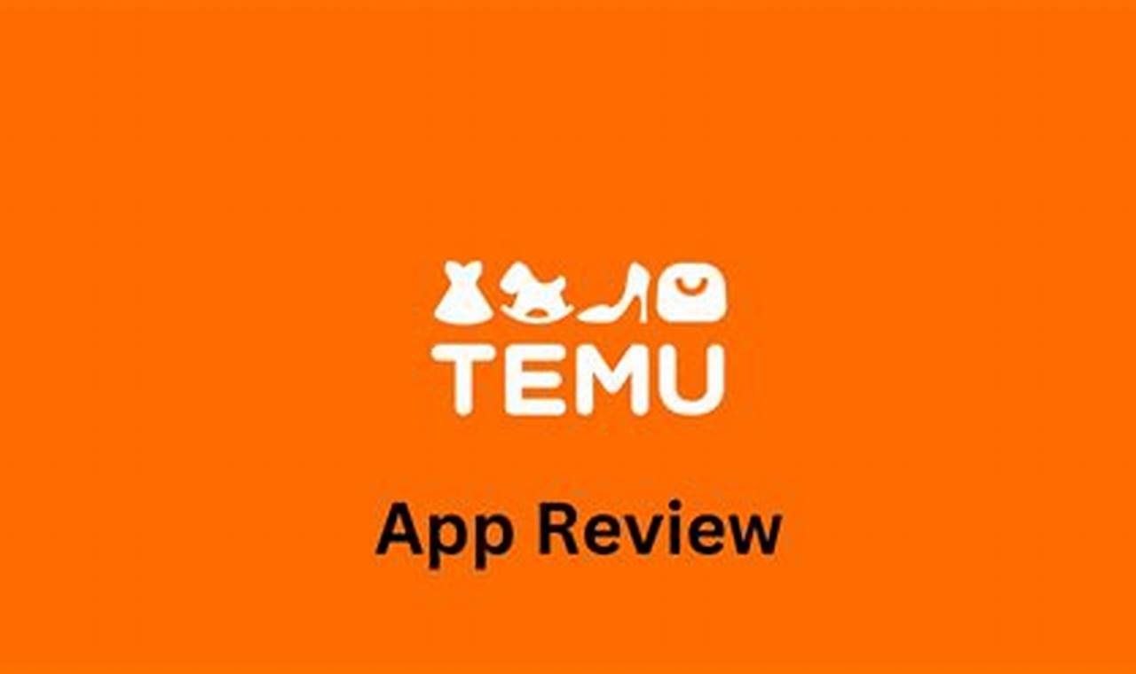 Temu Reviews 2024