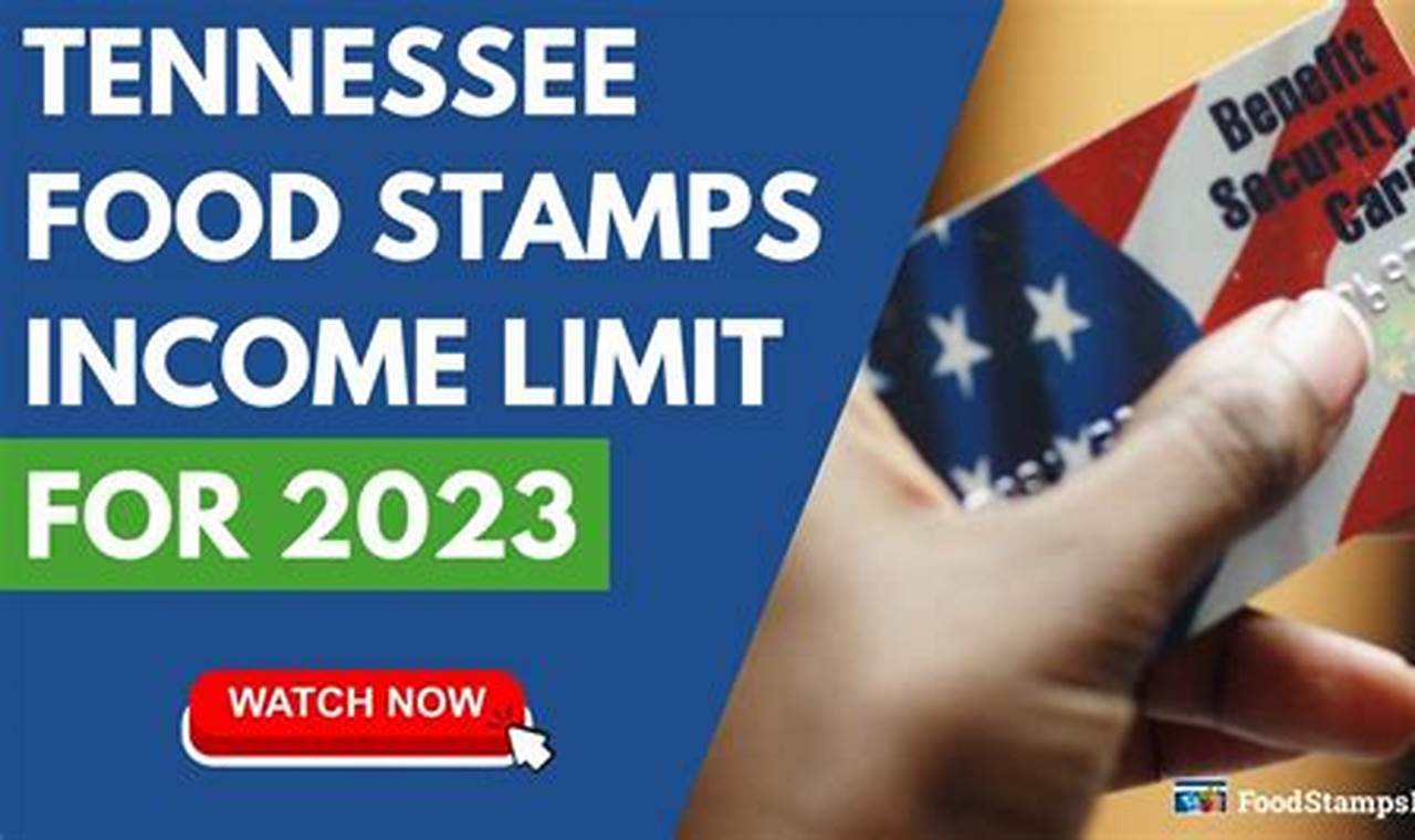 Tennessee Food Stamp Amounts 2024