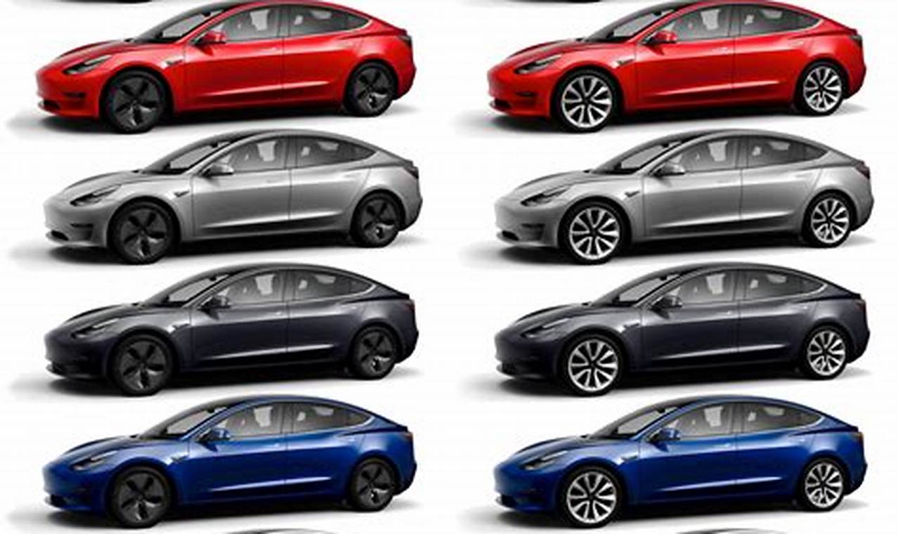 Tesla Model 3 Colors 2024