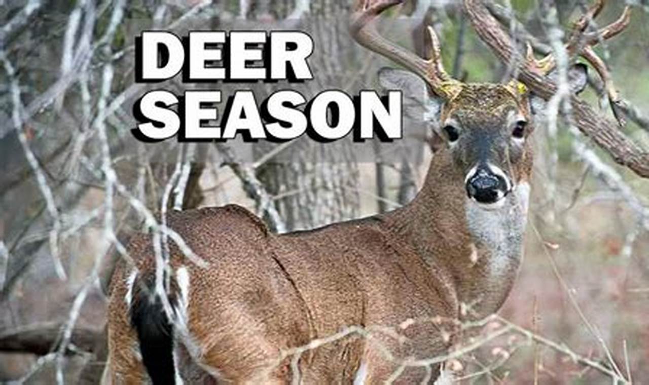 Texas Hunting Season 2024
