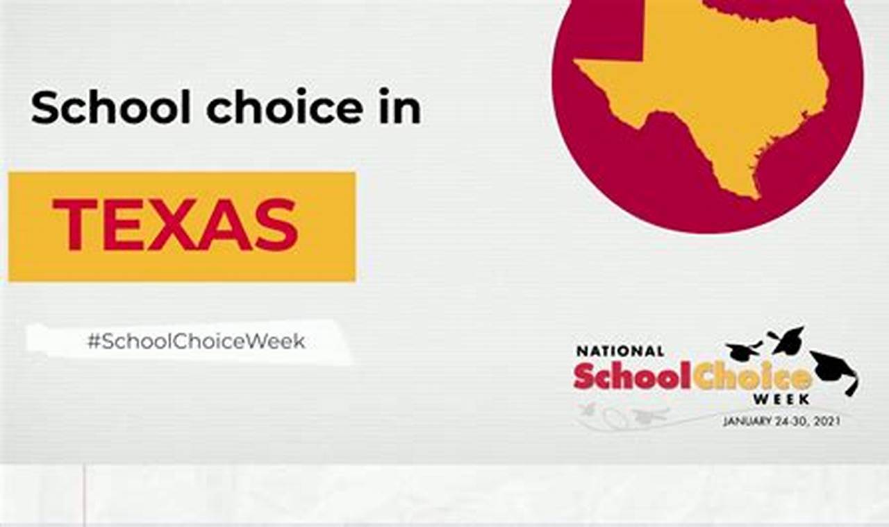 Texas School Choice Bill 2024