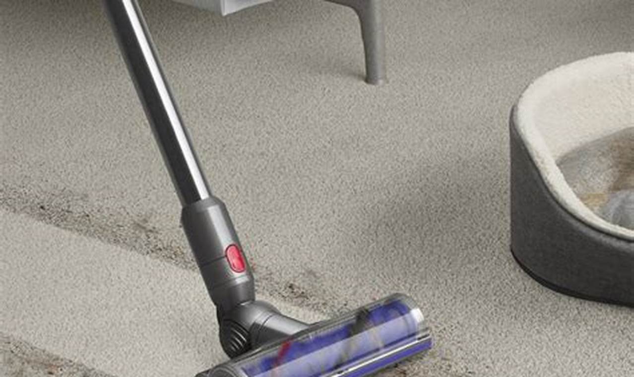 The Best Vacuums 2024