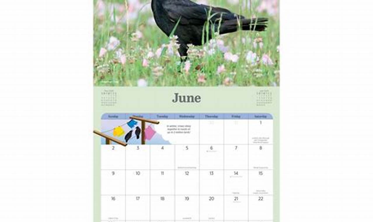 The Blissful Birder Calendar 2024 Tacoma