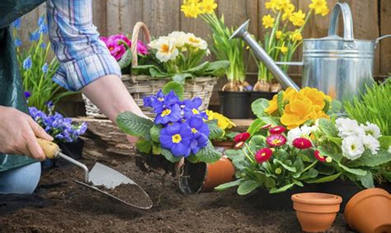 The First Day Of Spring 2024 Gardening Tips