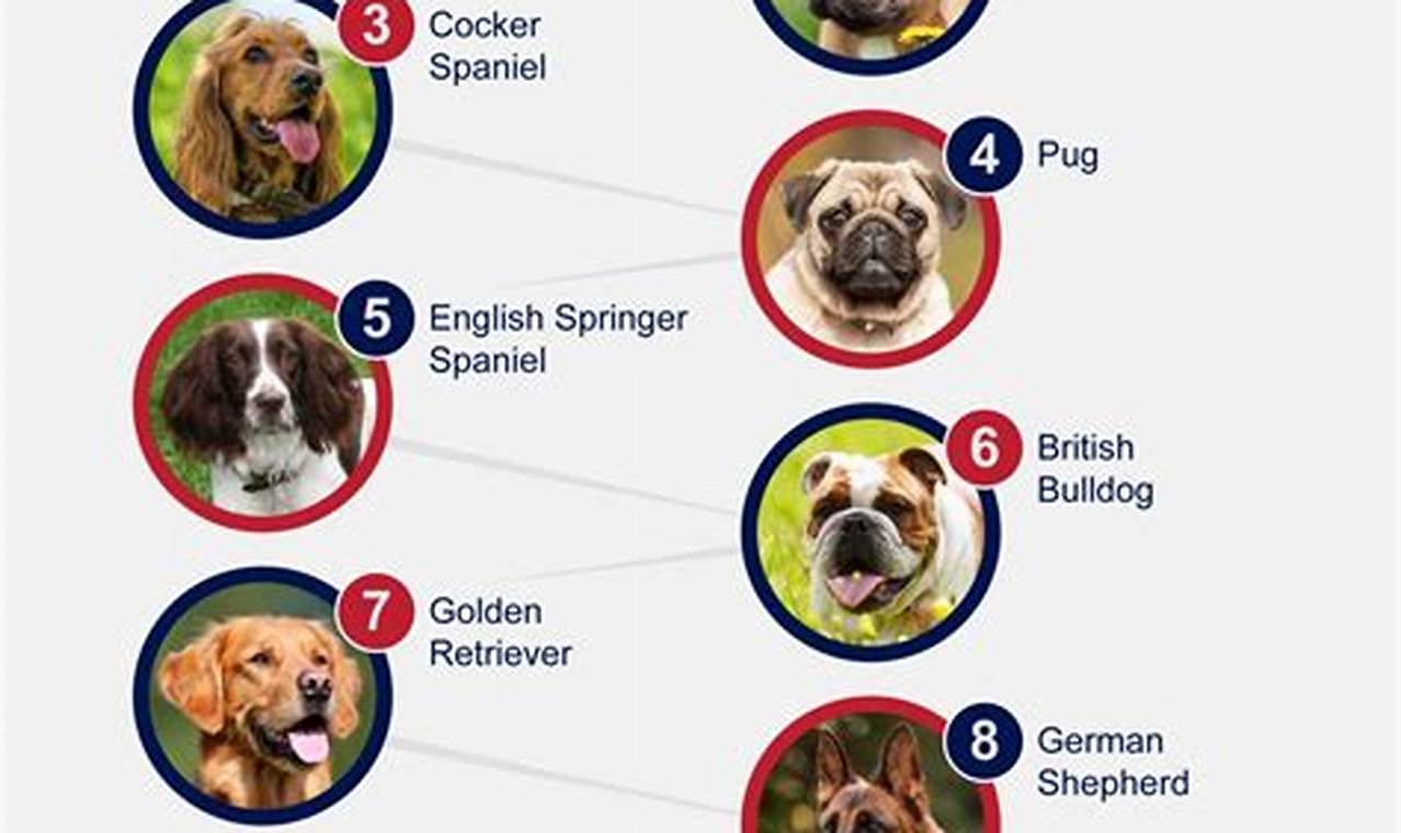 The Most Popular Dog Breeds 2024