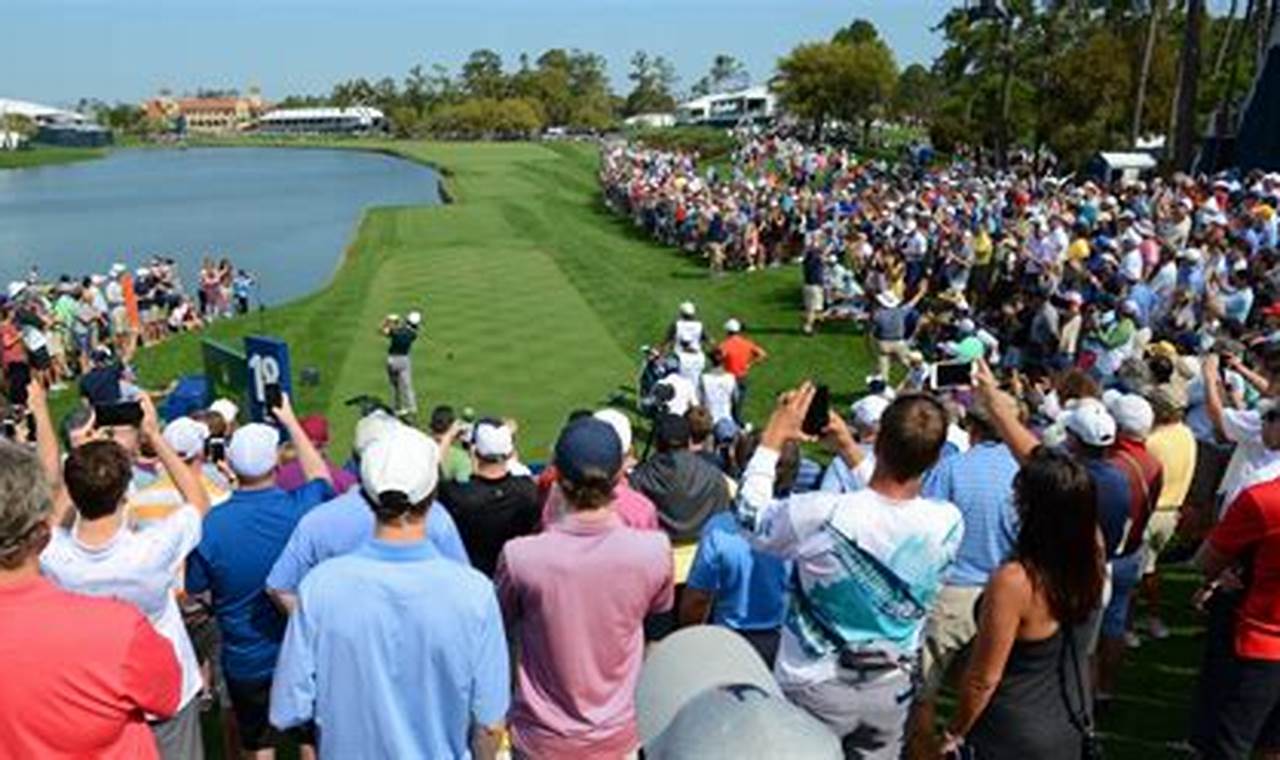 The Players Championship Field 2024