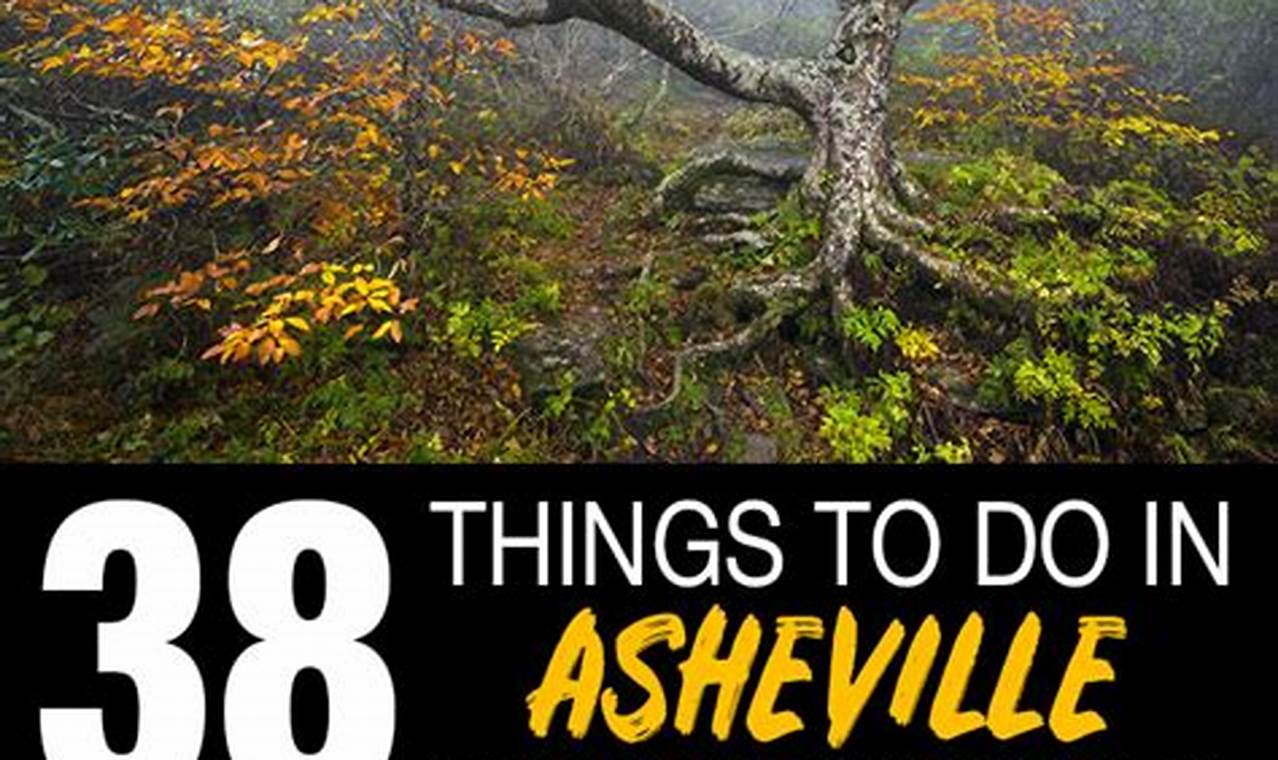 Things To Do In Asheville Nc In October 2024
