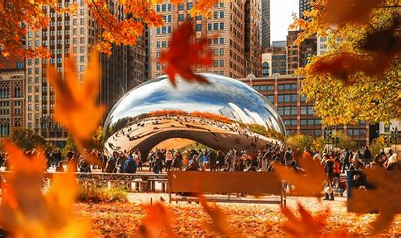 Things To Do In Chicago October 2024