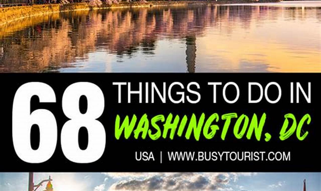 Things To Do In Dc In January 2024