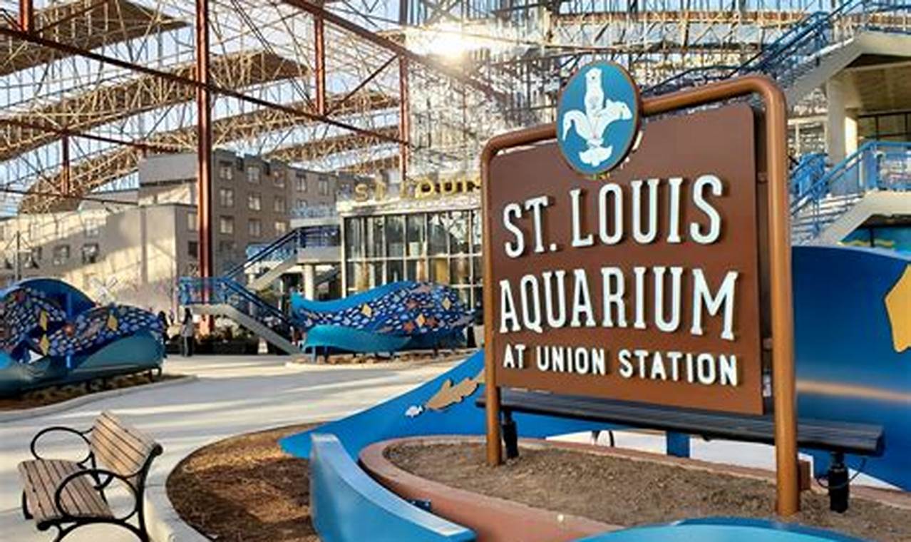 Things To Do In St Louis April 2024