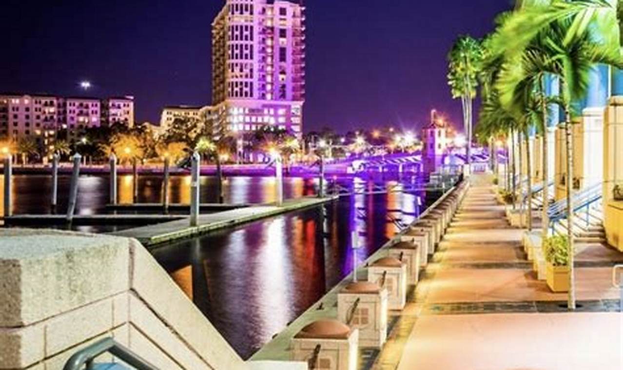 Things To Do In Tampa In December 2024