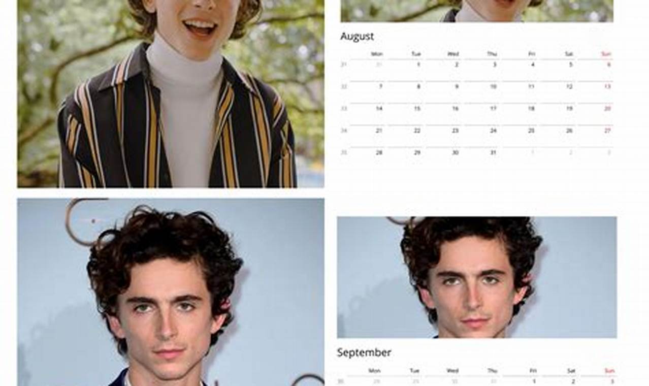 Timothee Chalamet Calendar 2024