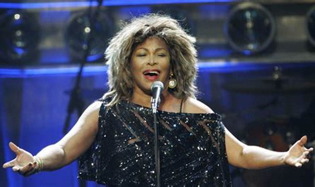 Tina Turner Tour 2024 Usa