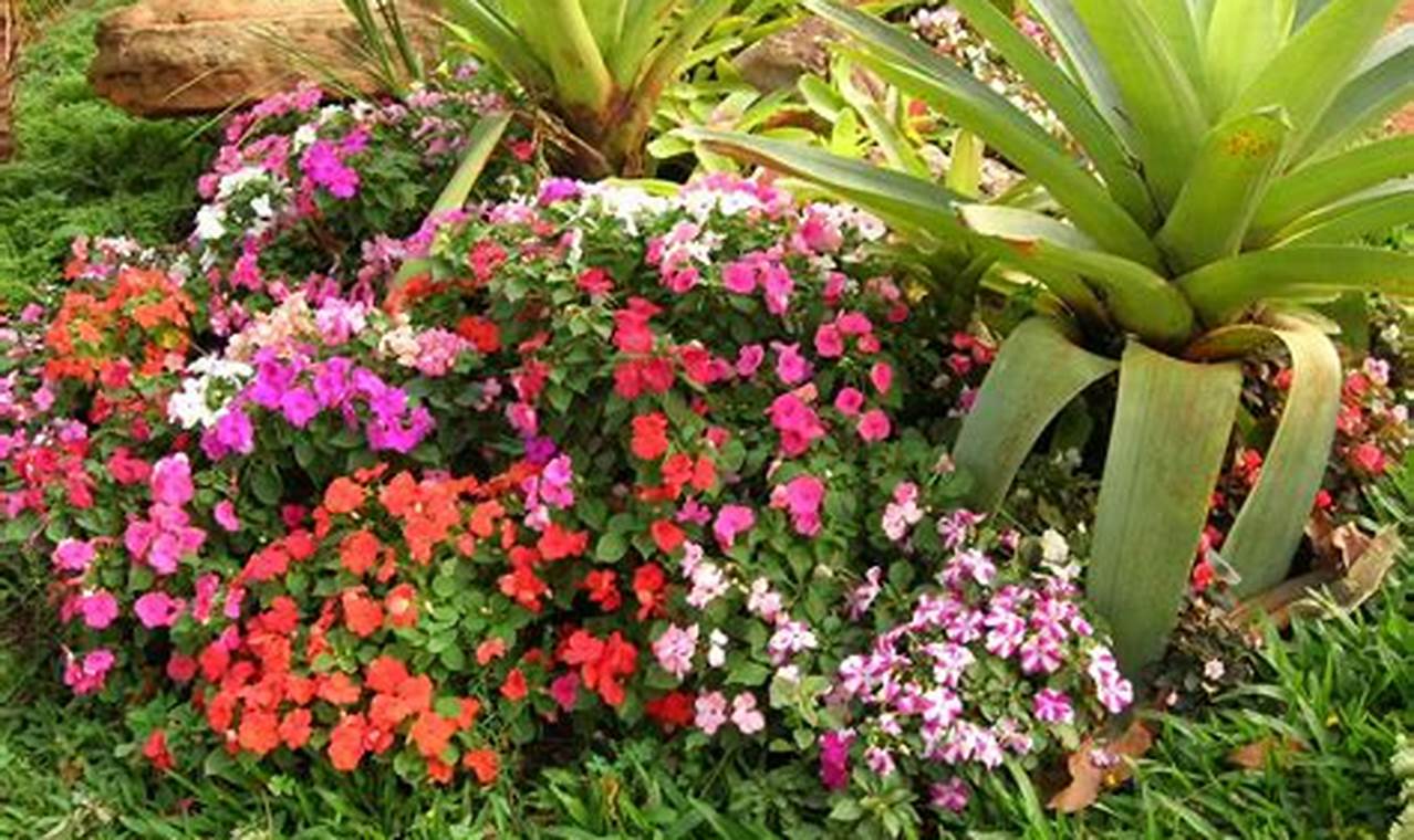 Tipos De Plantas Com Flores Para Jardim