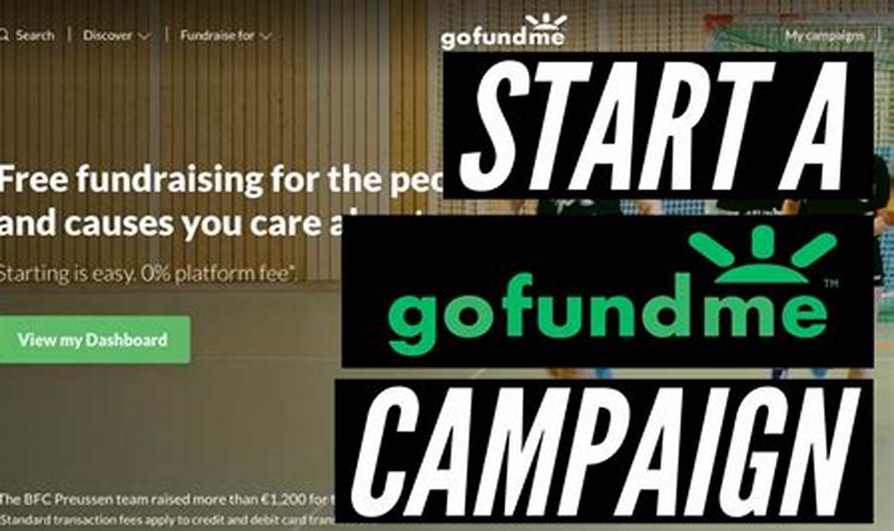 Top Gofundme Campaigns 2024