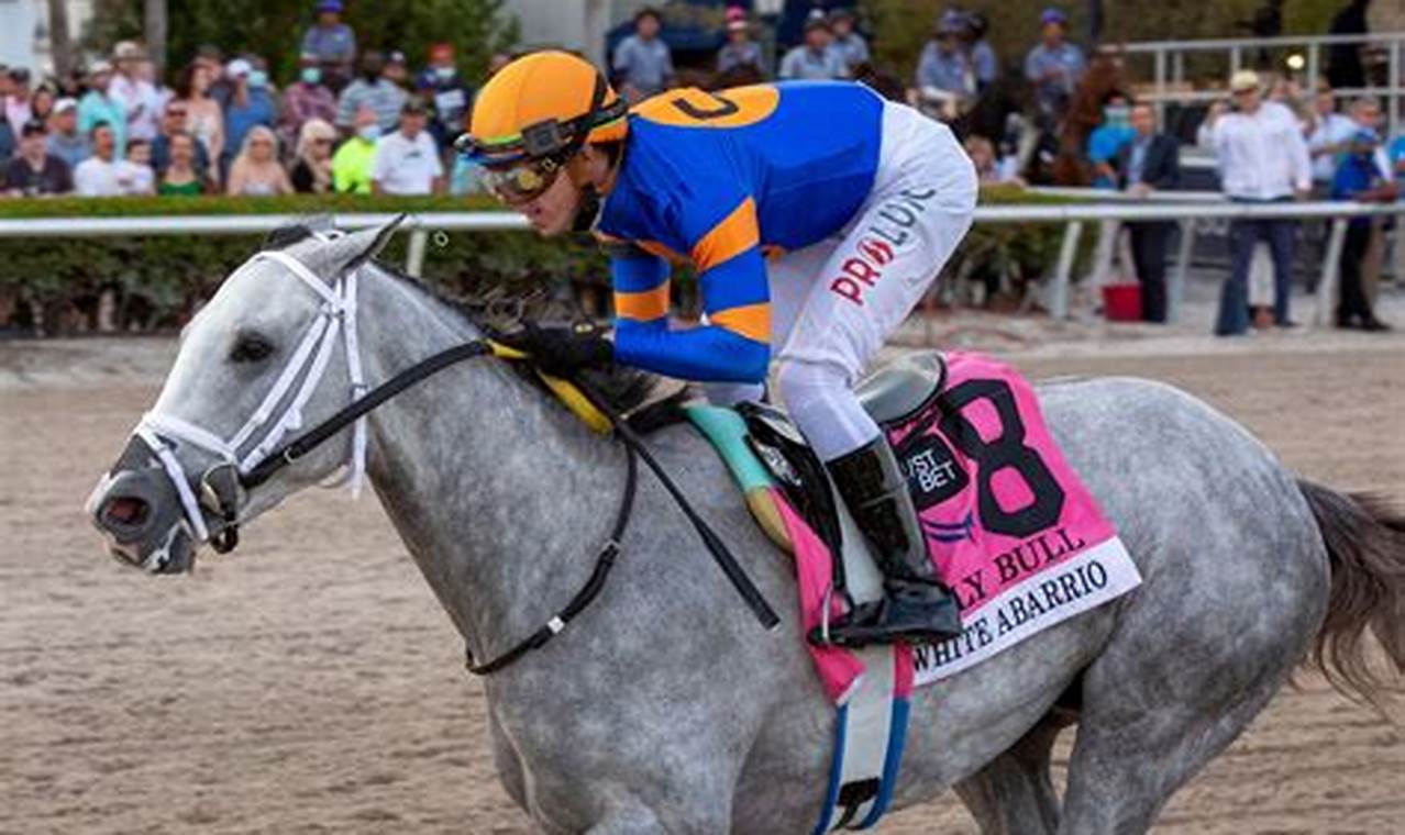 Top Horses For 2024 Kentucky Derby