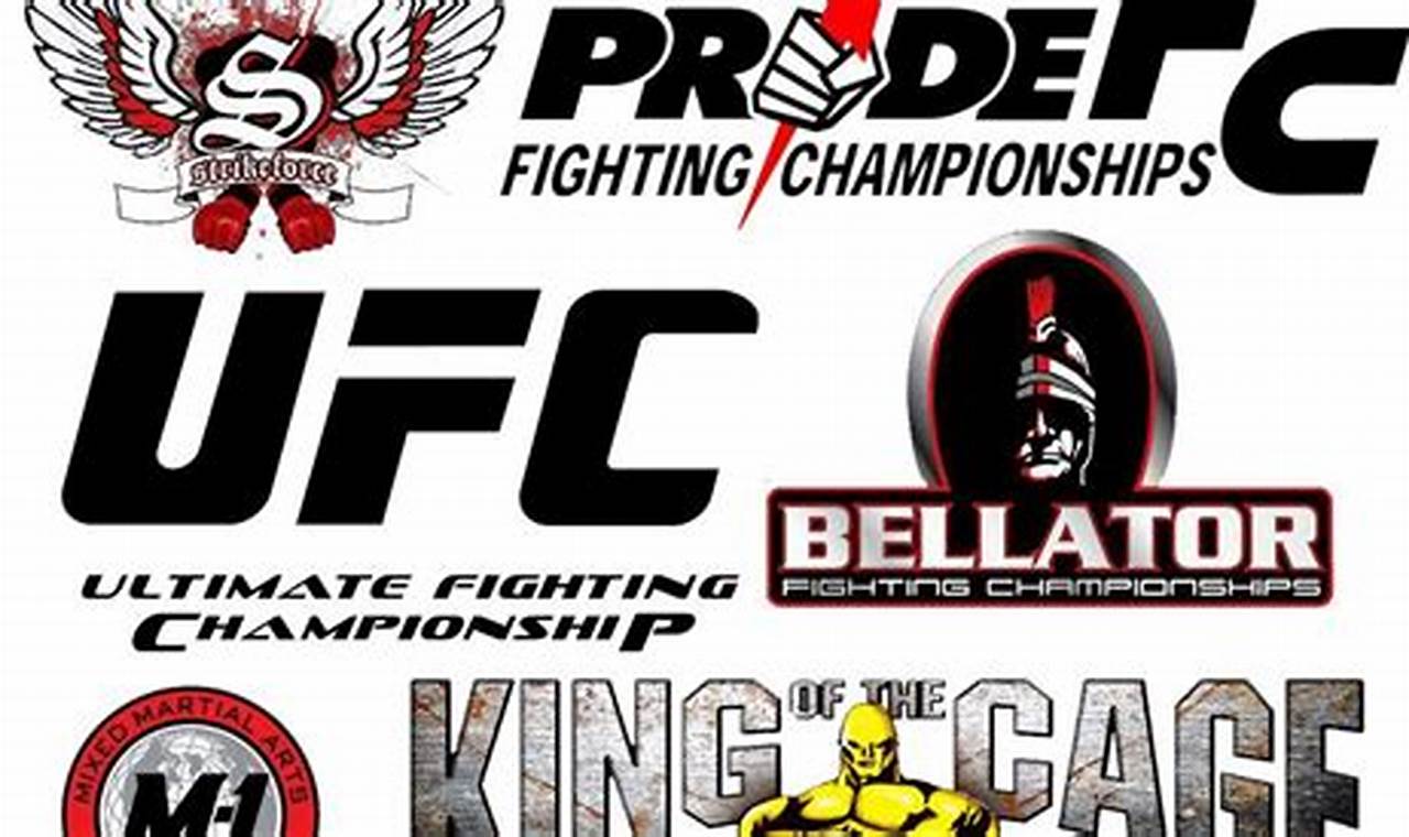 Top Mma Promotions 2024
