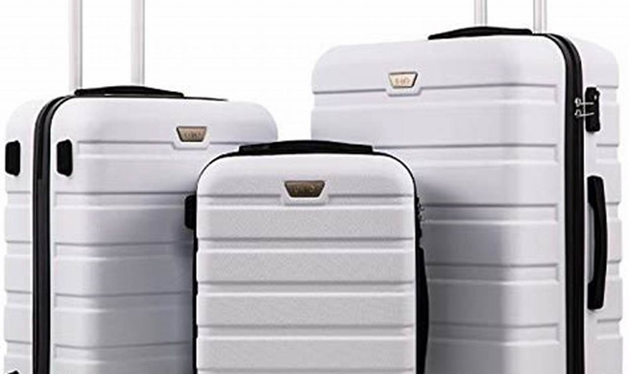 Top Rated Luggage 2024 Best