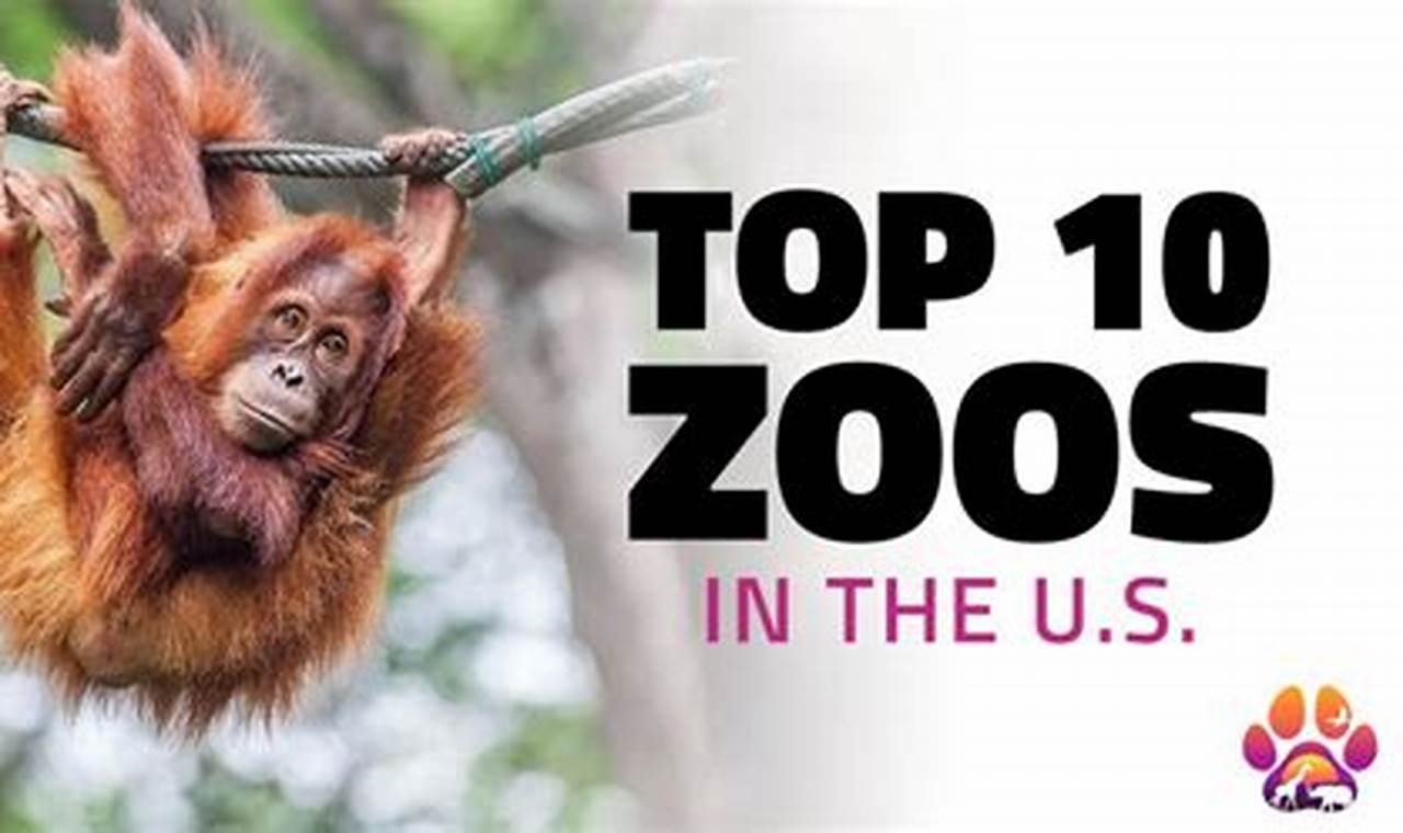 Top Us Zoos 2024