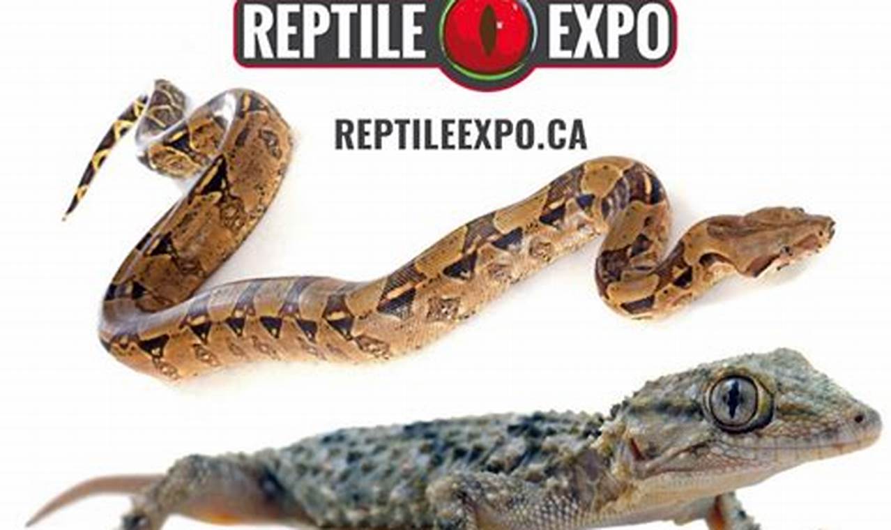 Toronto Reptile Expo 2024