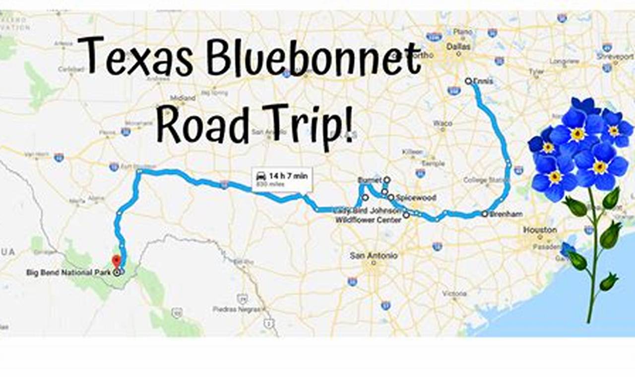Tour Of Texas 2024